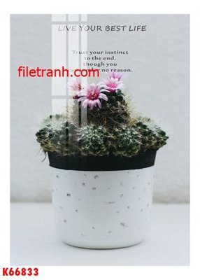 File tranh File gốc in tranh nền tường tổng hợp K66833 (gốc) chủ đề tĩnh vật