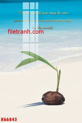 Download file gốc File gốc in tranh nền tường tổng hợp K66845 (in mica) trong suốt