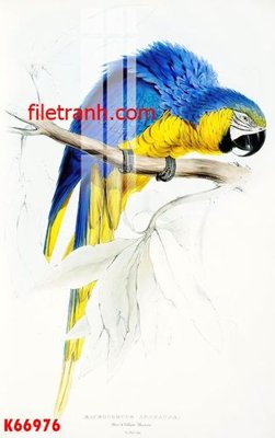 File gốc File gốc in tranh nền tường tổng hợp K66976 (in mica) cắt laser