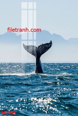 Download file tranh PSD File gốc in tranh nền tường tổng hợp K67069 để chỉnh sửa