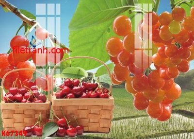 Tải file File gốc in tranh nền tường tổng hợp K67349 (gốc) in nhanh