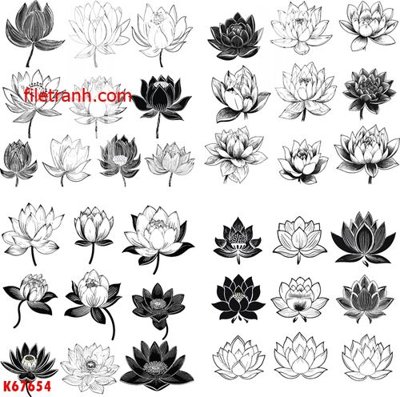 File in trần File gốc in tranh nền tường tổng hợp K67654 (bản gốc) hoa văn