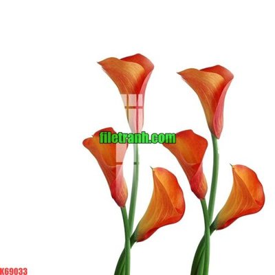 Tải về file gốc File gốc in tranh nền tường tổng hợp K69033 (dùng cho in quảng cáo)