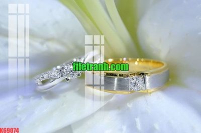 File ảnh File gốc in tranh nền tường tổng hợp K69074 (gốc) cho trang trí nhà hàng