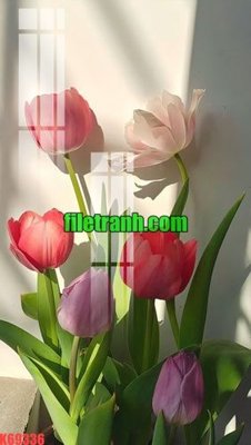 File in ấn File gốc in tranh nền tường tổng hợp K69336 chuyên nghiệp