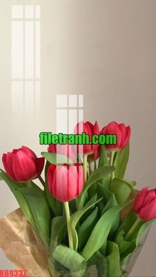 File gốc File gốc in tranh nền tường tổng hợp K69337 (chuẩn màu) cho in offset