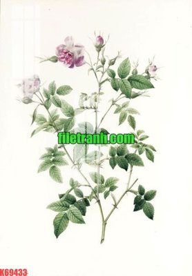 File ảnh File gốc in tranh nền tường tổng hợp K69433 (gốc) in quảng cáo ngoài trời