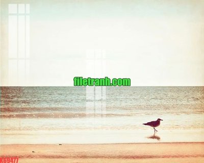 Tải file File gốc in tranh nền tường tổng hợp K69477 (ảnh gốc) độ phân giải 300dpi