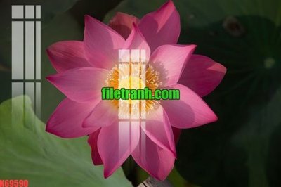 File gốc in mica File gốc in tranh nền tường tổng hợp K69590 chất lượng