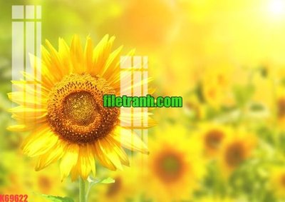 Tải về hình ảnh gốc File gốc in tranh nền tường tổng hợp K69622 sắc nét