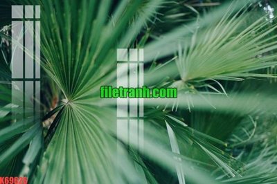 File gốc File gốc in tranh nền tường tổng hợp K69626 (dành cho trang trí nội thất)