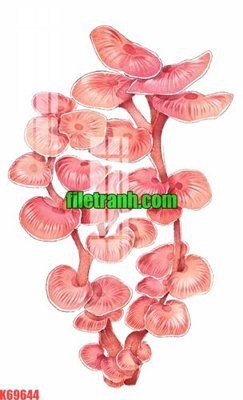 Tải file File gốc in tranh nền tường tổng hợp K69644 (gốc) in tranh tráng gương