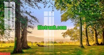 File gốc File gốc in tranh nền tường tổng hợp K69649 (cho in ấn) độc quyền