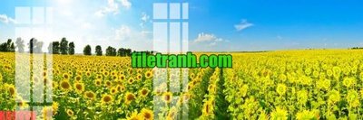 File tranh File gốc in tranh nền tường tổng hợp K69666 (bản gốc) in lụa dán tường