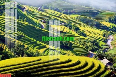 File PSD File gốc in tranh nền tường tổng hợp K69798 (bản gốc) đã tách nền