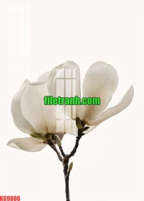 File tranh PSD File gốc in tranh nền tường tổng hợp K69806 chất lượng cao