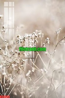 Tải file tranh gốc File gốc in tranh nền tường tổng hợp K69809 chất lượng cao