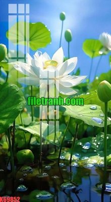 File gốc File gốc in tranh nền tường tổng hợp K69852 (PNG) chất lượng cao