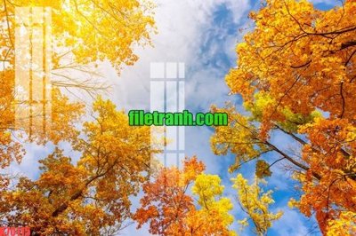 File tranh trang trí File gốc in tranh nền tường tổng hợp K70115 (tải file gốc)