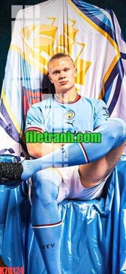 File tranh File gốc in tranh nền tường tổng hợp K70124 (gốc) in vải canvas