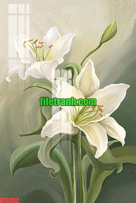 File in trần File gốc in tranh nền tường tổng hợp K70352 (bản gốc) trời sao