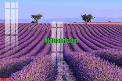 Hình ảnh gốc File gốc in tranh nền tường tổng hợp K70425 (để in khổ lớn)