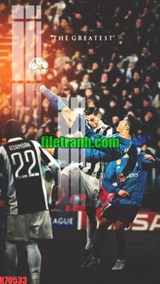 File gốc File gốc in tranh nền tường tổng hợp K70533 (in lụa) tranh phong thủy