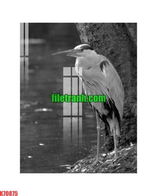 File in ấn chuyên nghiệp File gốc in tranh nền tường tổng hợp K70875 (file gốc)