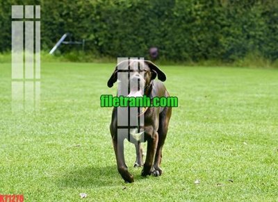 File gốc File gốc in tranh nền tường tổng hợp K71276 (phong cách) châu Âu