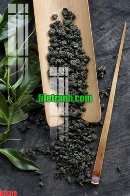 File ảnh File gốc in tranh nền tường tổng hợp K71319 (gốc) in PP, decal