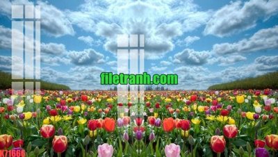 File in trần File gốc in tranh nền tường tổng hợp K71666 (file gốc) phong thủy