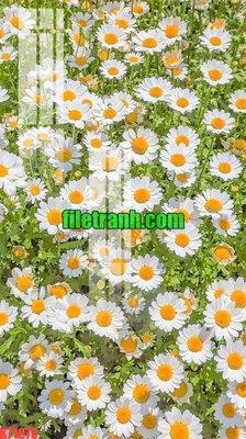 File gốc File gốc in tranh nền tường tổng hợp K71676 (trang trí) cho phòng khách