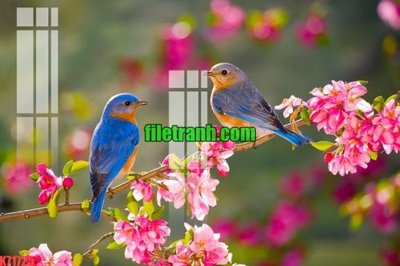 File tranh gốc File gốc in tranh nền tường tổng hợp K71725 (bản quyền) độc đáo