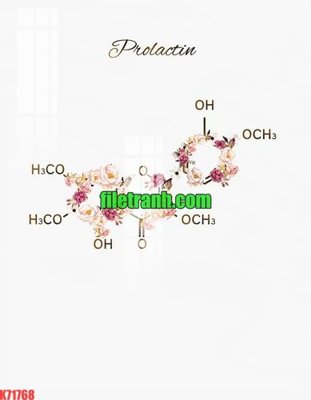 File ảnh File gốc in tranh nền tường tổng hợp K71768 (gốc) in poster