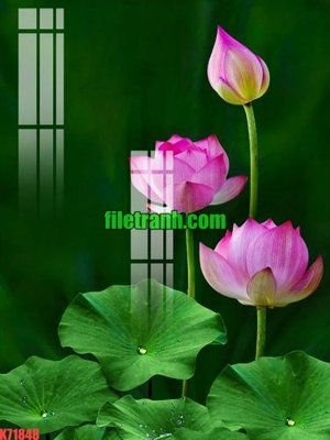 Ảnh gốc File gốc in tranh nền tường tổng hợp K71848 (độ nét cao) in mica