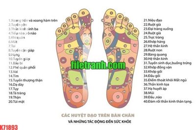 File tranh File gốc in tranh nền tường tổng hợp K71893 (bản gốc) treo tường