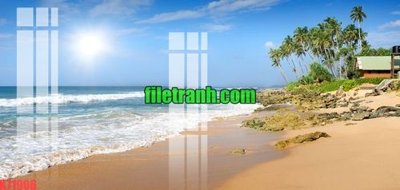 Tải file File gốc in tranh nền tường tổng hợp K71906 (gốc) làm tranh trang trí