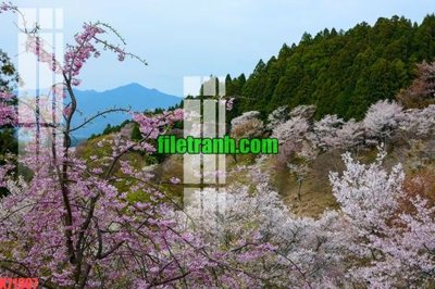 Tải xuống file tranh gốc File gốc in tranh nền tường tổng hợp K71907 (PSD/TIFF)