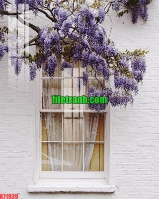 File in mica File gốc in tranh nền tường tổng hợp K71939 (ảnh gốc) đẹp