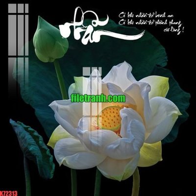 File ảnh File gốc in tranh nền tường tổng hợp K72313 (gốc) trang trí khách sạn