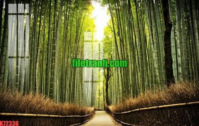 File in lụa File gốc in tranh nền tường tổng hợp K72336 (hoa văn) File gốc in tranh nền tường tổng hợp K72336