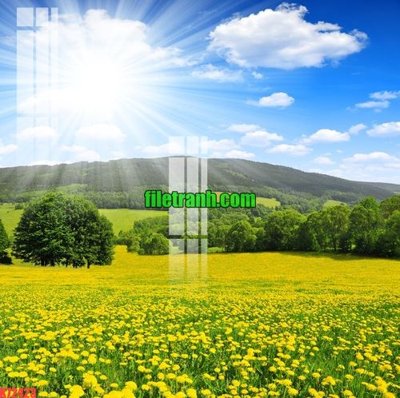 Tệp tin gốc File gốc in tranh nền tường tổng hợp K72423 (dùng cho in) File gốc in tranh nền tường tổng hợp K72423