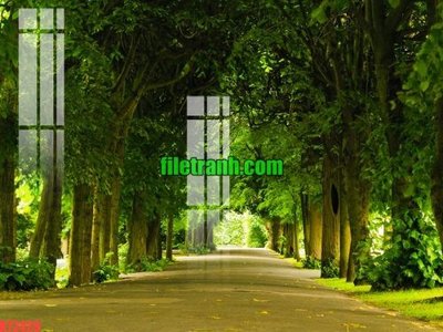 File PSD in ấn File gốc in tranh nền tường tổng hợp K72429 (chất lượng cao)