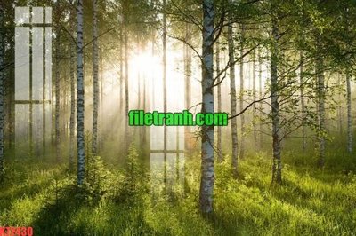 Tải file File gốc in tranh nền tường tổng hợp K72430 (gốc) làm tranh treo tường