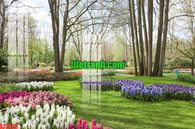 File tranh File gốc in tranh nền tường tổng hợp K72435 (ảnh gốc) chi tiết rõ ràng