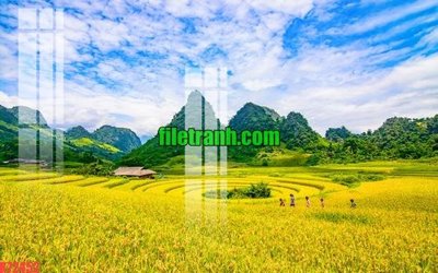 Ảnh gốc File gốc in tranh nền tường tổng hợp K72452 (nét căng) in mica