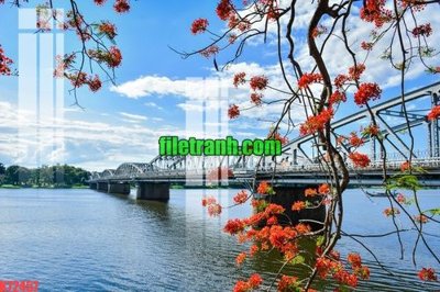 File tranh File gốc in tranh nền tường tổng hợp K72457 (gốc) in trên kính