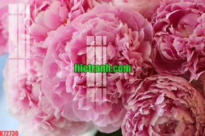 Chi tiết file gốc File gốc in tranh nền tường tổng hợp K72730 (cho in tráng gương)