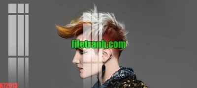 File gốc File gốc in tranh nền tường tổng hợp K72913 (in tráng gương) nghệ thuật