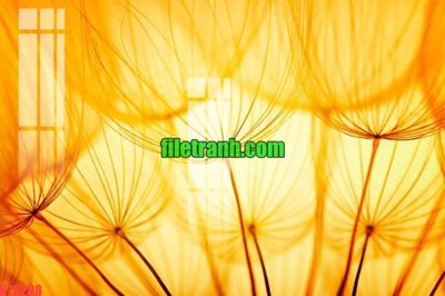 File PSD File gốc in tranh nền tường tổng hợp K73298 (nguyên gốc) chất lượng cao